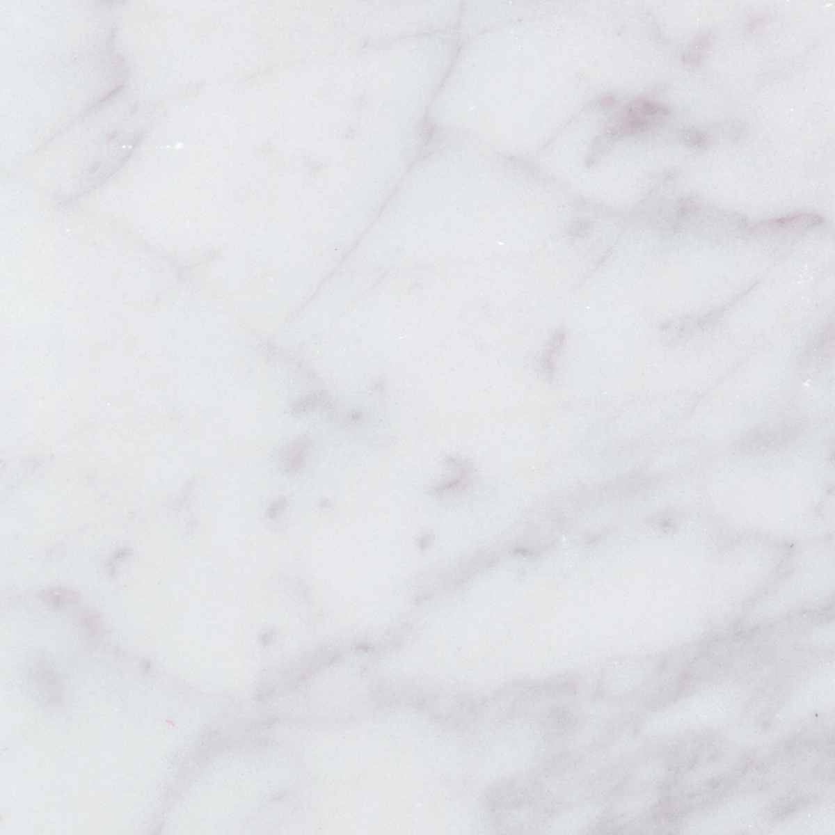 Carrara White