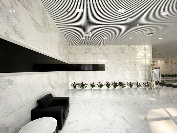 Bianco Sivec Polaris White Marble