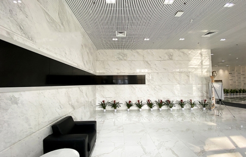 Bianco Sivec Polaris White Marble